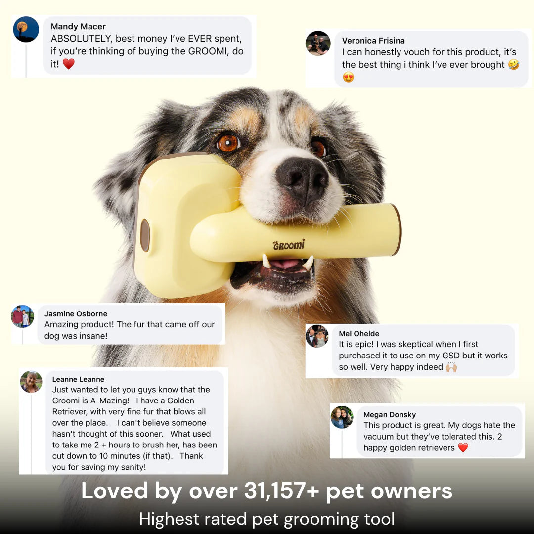 Yomi&GROOMI™ 3-In-1 Vacuum Pet Brush